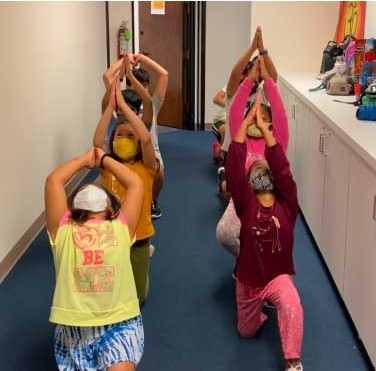 Students practising a guided yoga sequence together